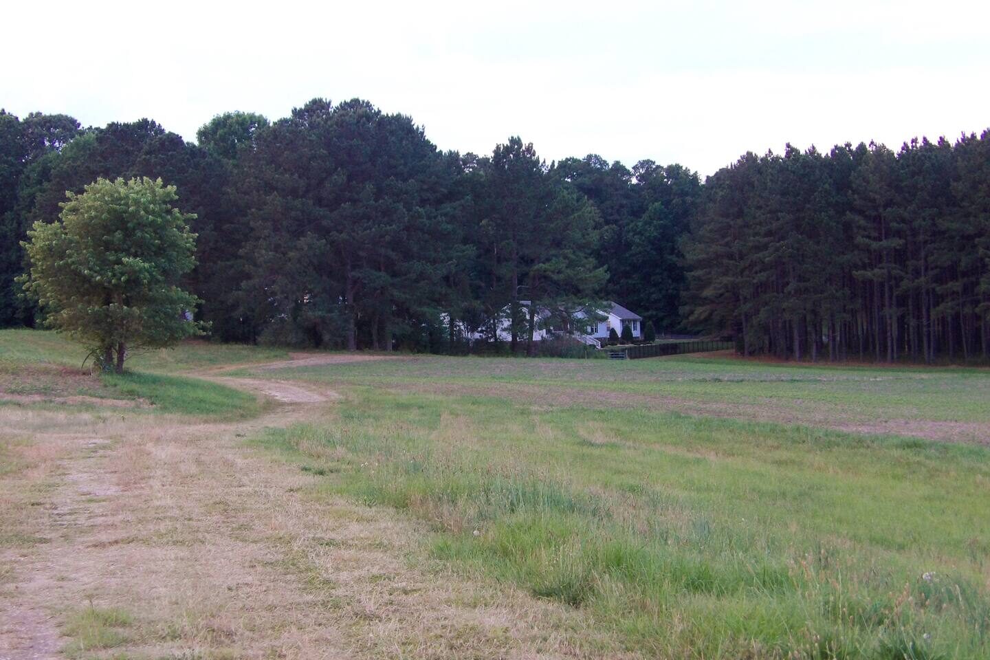 Garden walking path