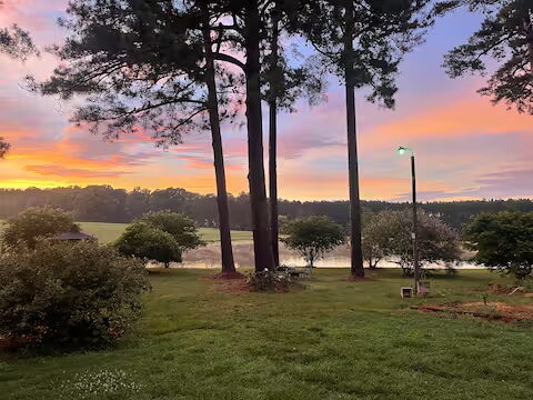 Pond view