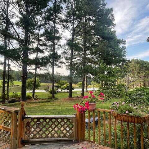 Expansive yard view