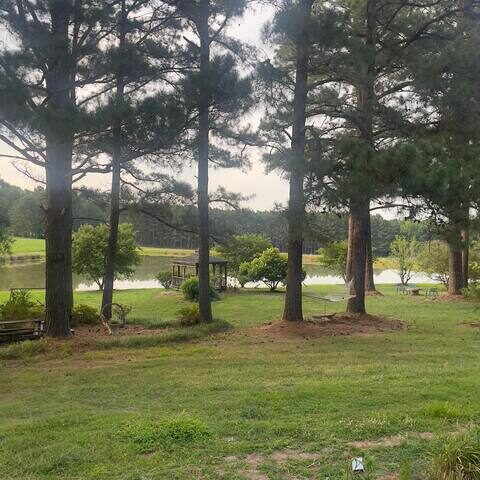 Another yard perspective